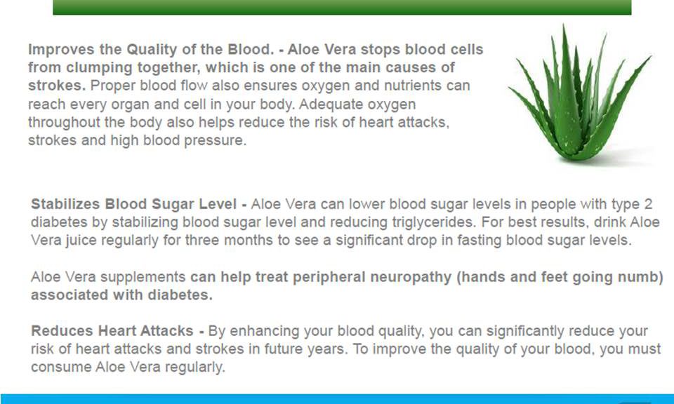 Top 10 Health Benefits Of Drinking Aloe Vera Juice Rain Soul